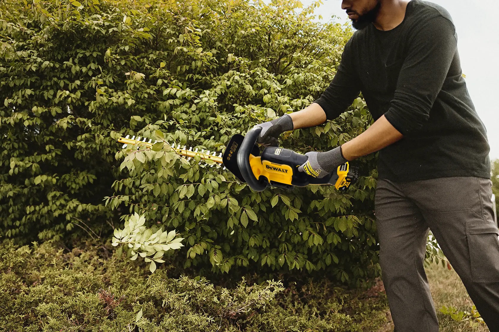 Person trims bushes with a DEWALT hedge trimmer outdoors. Face is blurred.