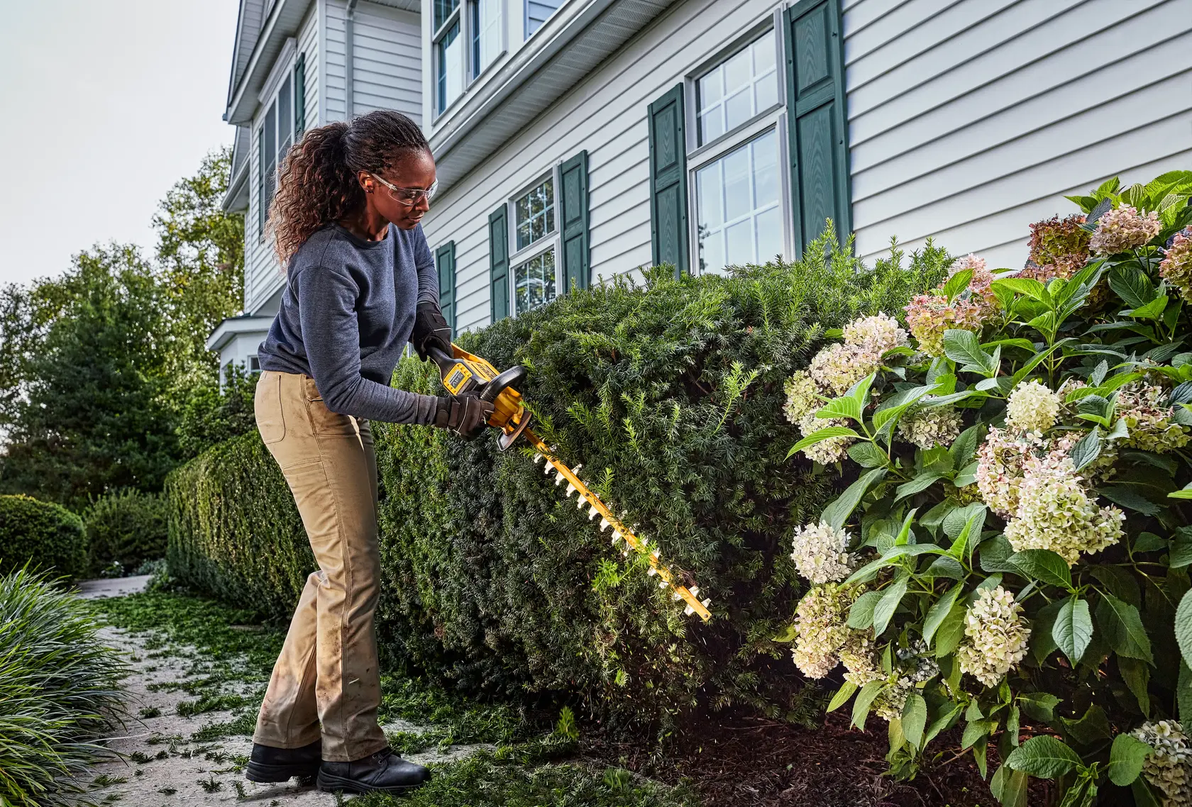 Person using a DEWALT hedge trimmer to trim bushes in front of a house with white siding and green shutters.