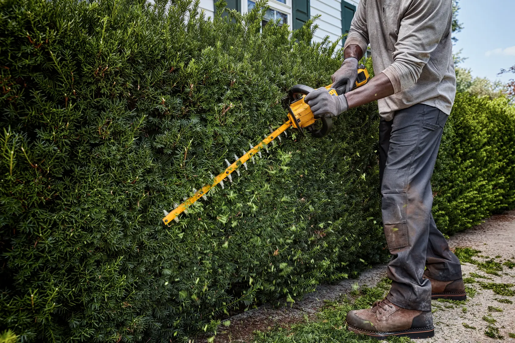Person uses a DEWALT cordless hedge trimmer to trim dense green bushes outdoors.