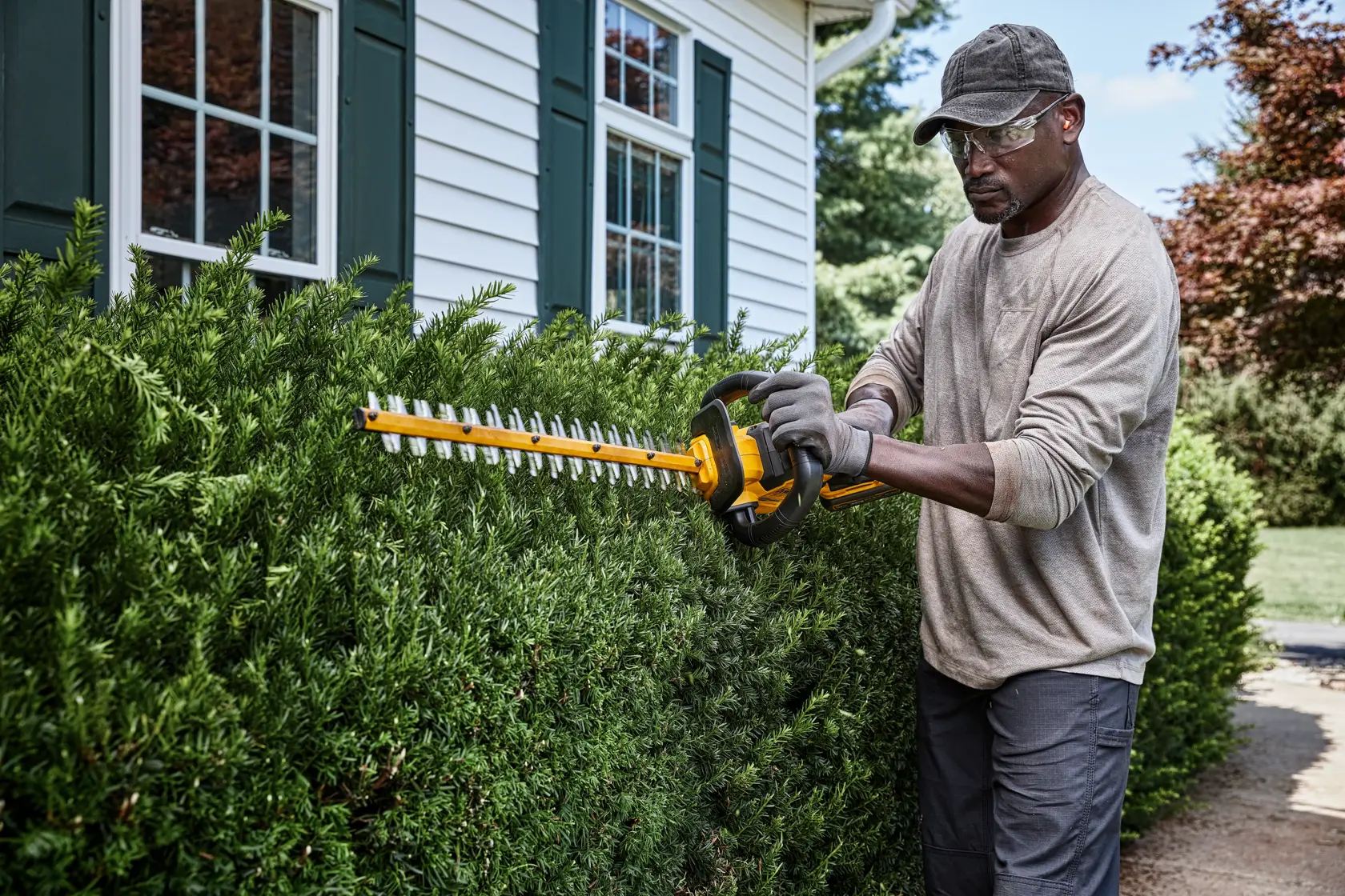 Person trimming hedges with a DEWALT cordless hedge trimmer outside a house with green window shutters.