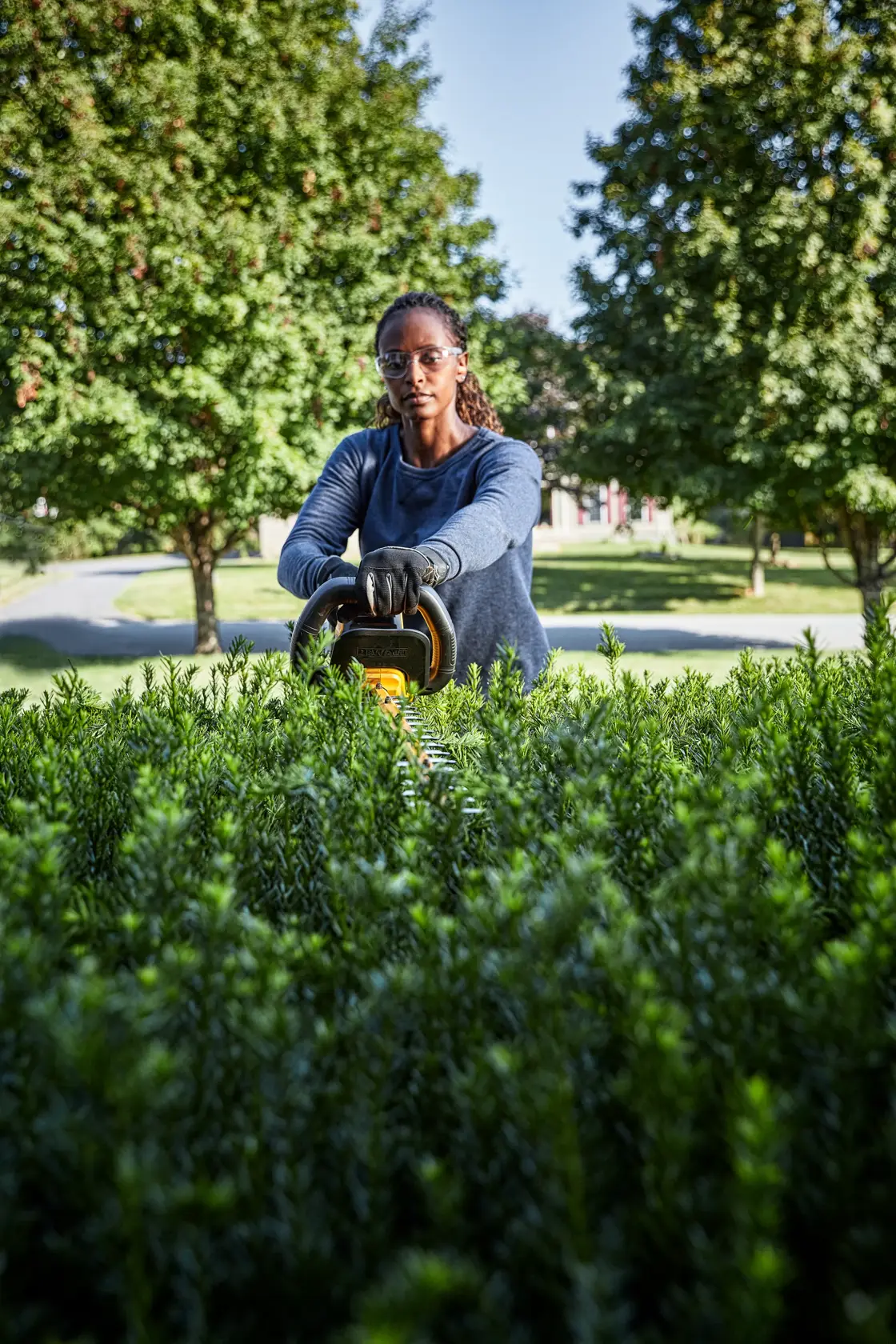 Person using a DEWALT hedge trimmer to cut bushes outdoors, surrounded by greenery and trees.