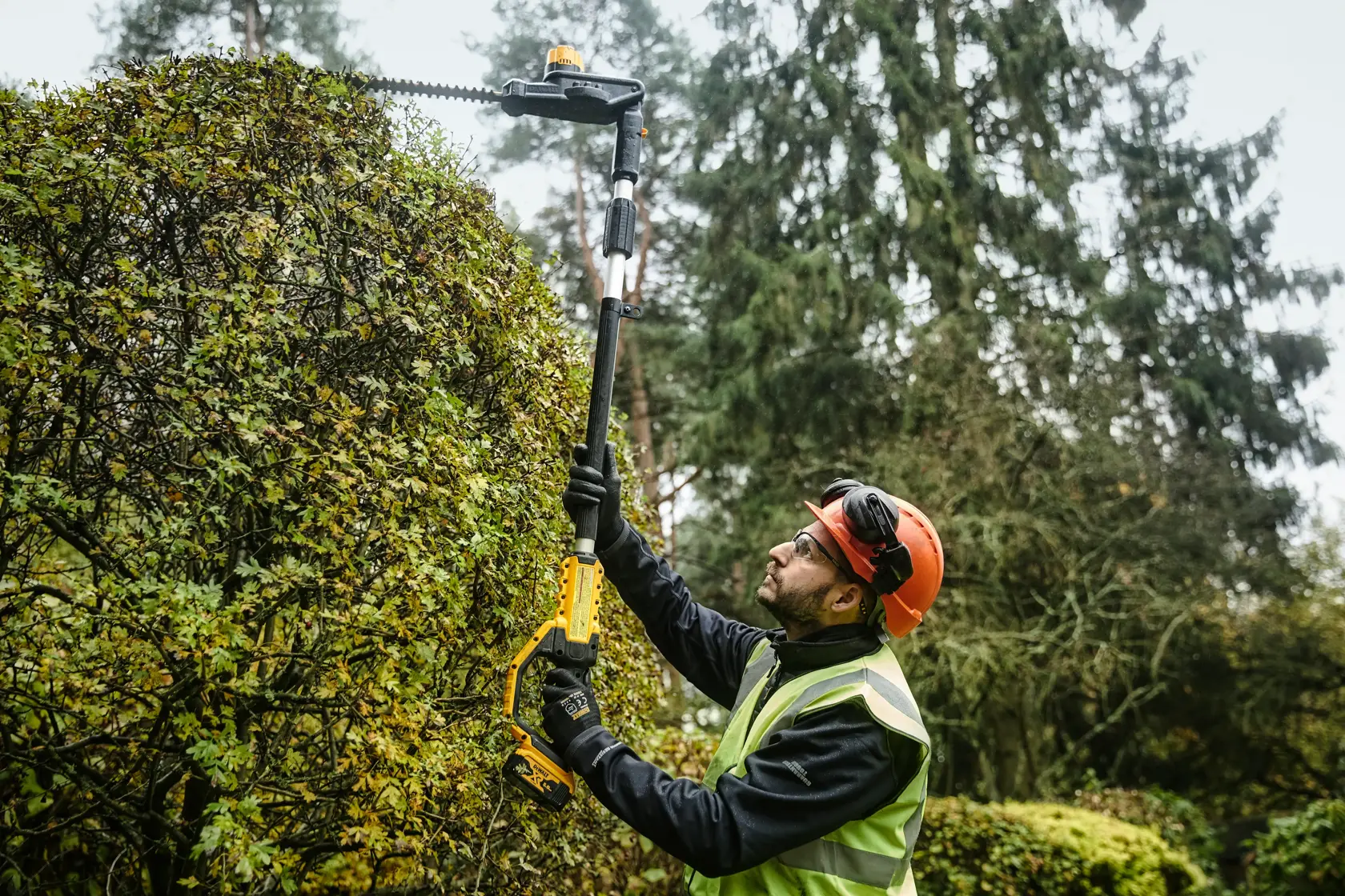 Worker uses DEWALT DCMPH566N cordless pole hedge trimmer on tall hedge outdoors, wearing safety gear.