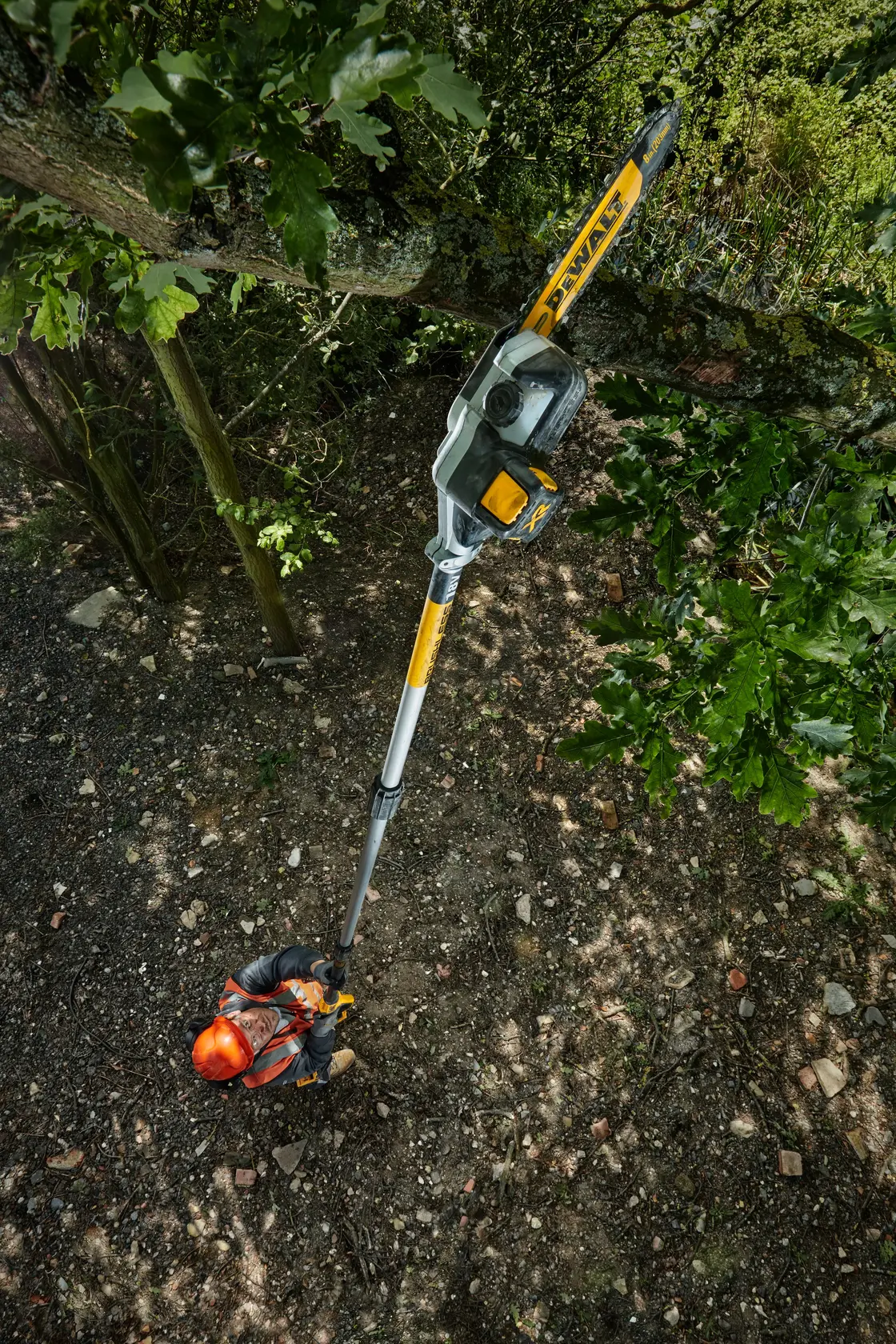 Person using a DEWALT DCMPS567N pole saw to trim high tree branches outdoors.