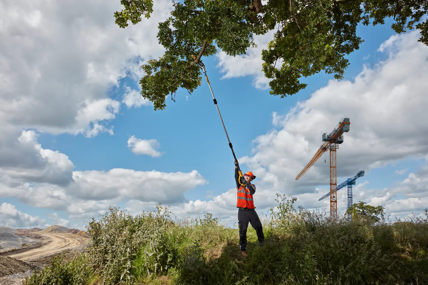 Person trims tree branches with a DEWALT pole saw outdoors, wearing safety gear, cranes in the background.